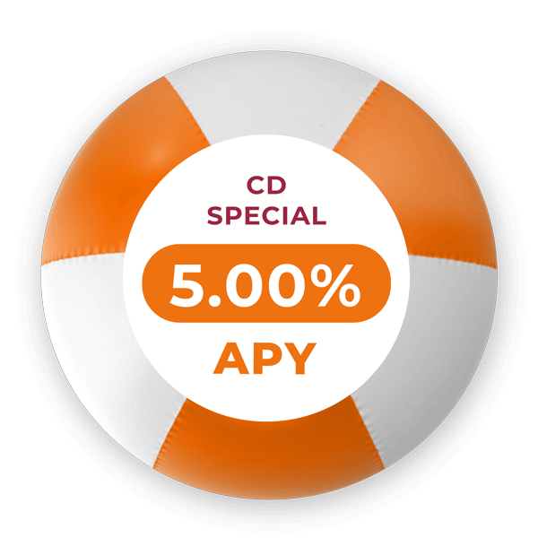 5.00% APY for 13 months.